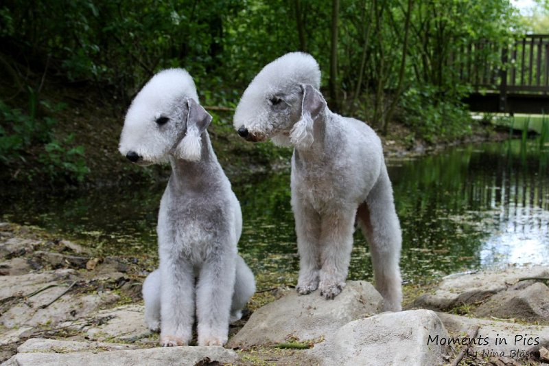 2010-05-01 Svet und Aveline (26).JPG